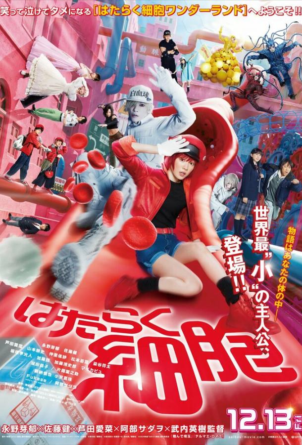 Смотреть Клетки за работой